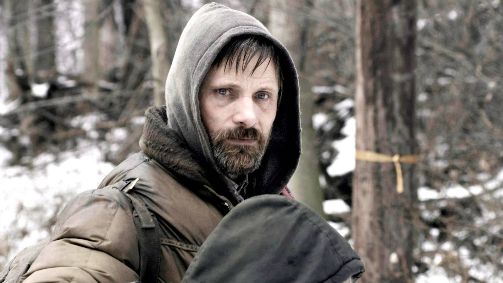 3 Flawless Book-to-Film Adaptations That Deserve Way More Love