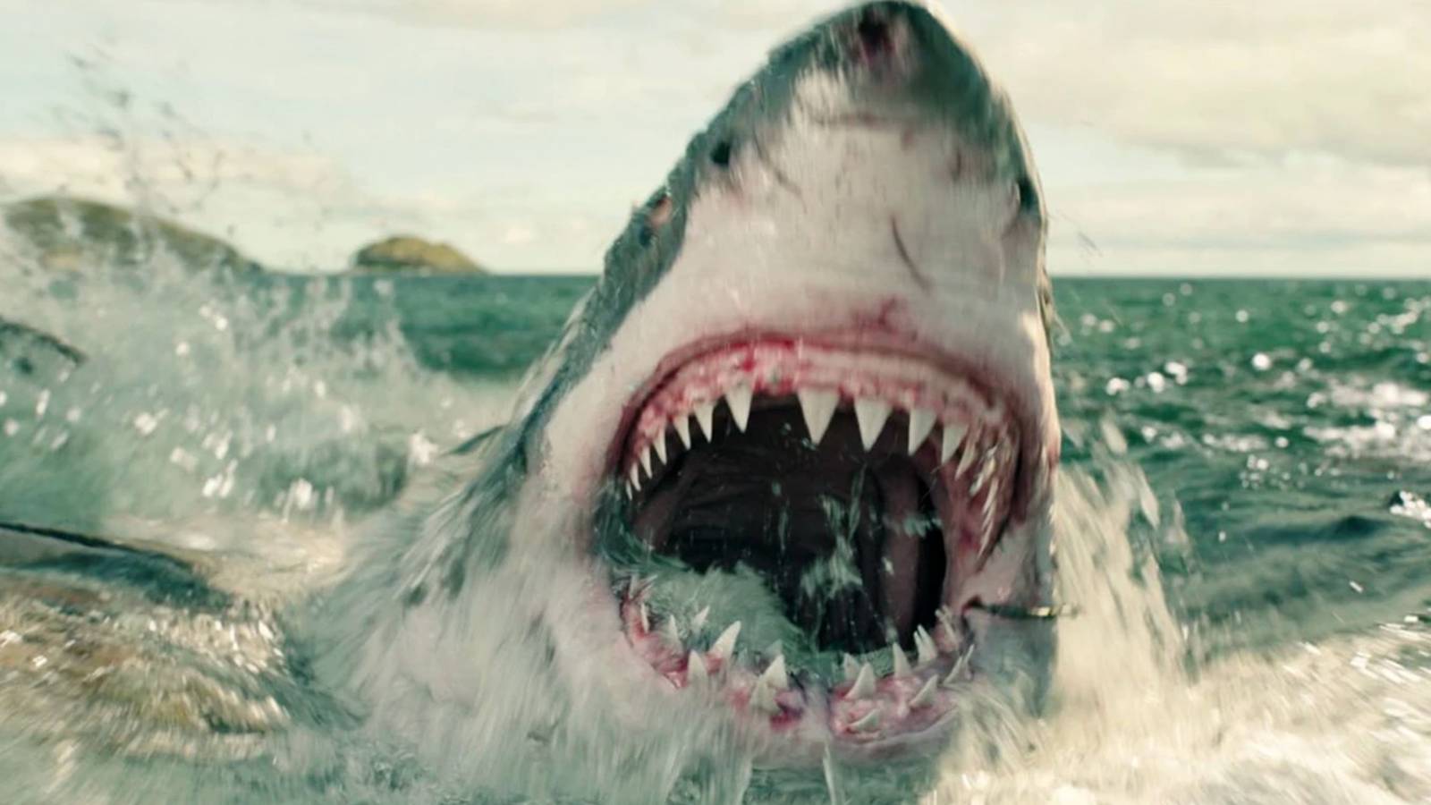 Blake Lively's Shark Thriller 'The Shallows' Is Now on Netflix—Here's Why You Should Watch