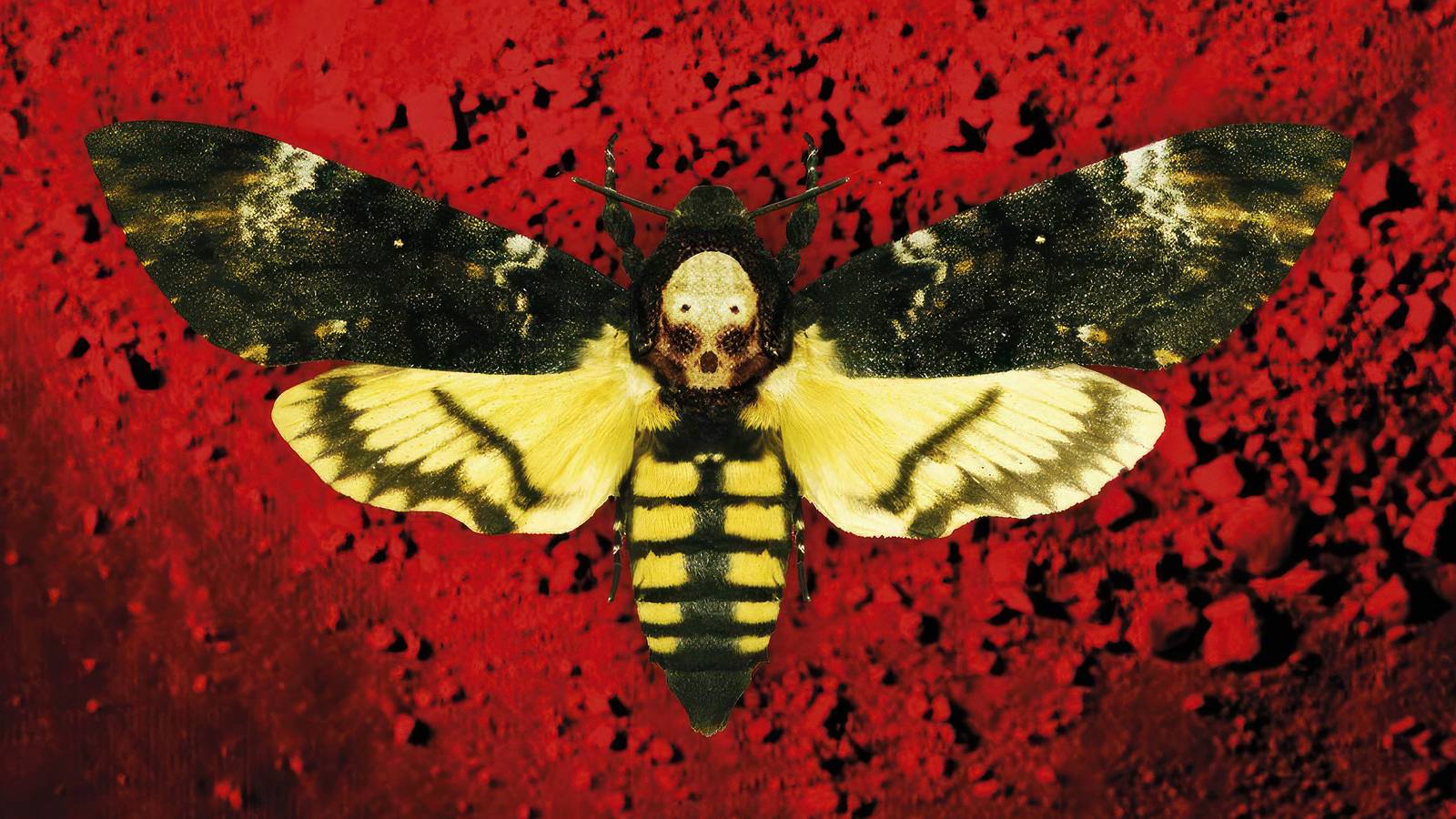 Chilling Minds: The Best Psychological Horror Books Ever Ranked