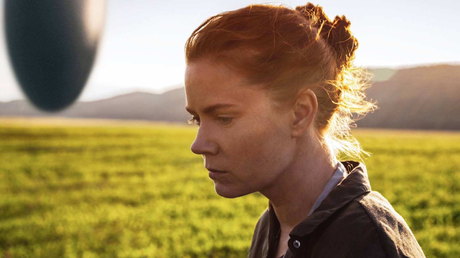 Cinematic Excellence: Ranking the 8 Most Flawless Films Since 2013