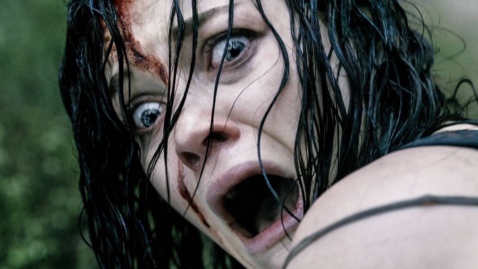 Classic Horror Remakes That Actually Work, Ranked