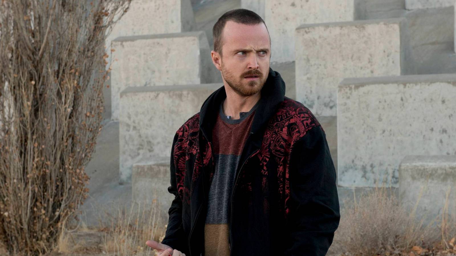 Crime Thriller Shows That Are Perfect From Start to Finish