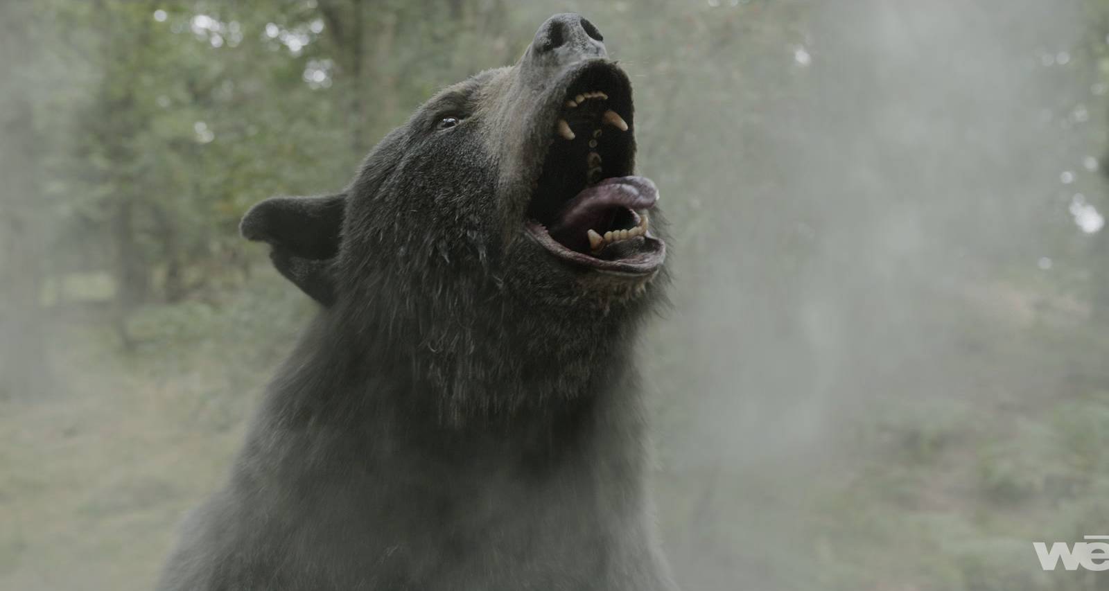 Elizabeth Banks' Cocaine Bear Roars Back to Netflix Top 10 in October 2026