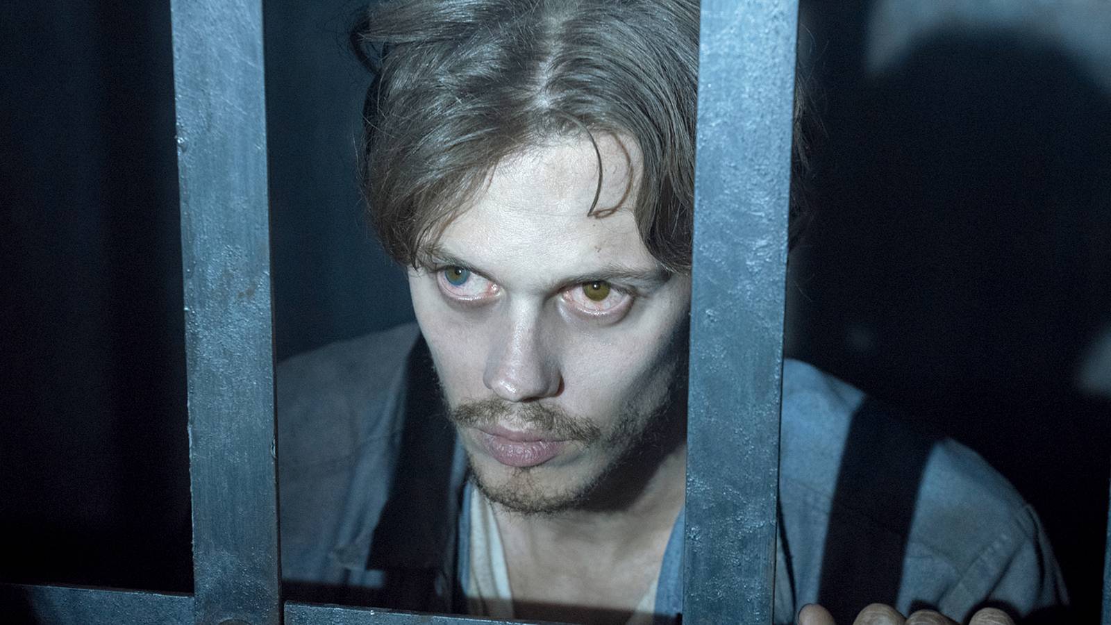 Forgotten Gems: 10 Near-Perfect Stephen King TV Shows You Missed