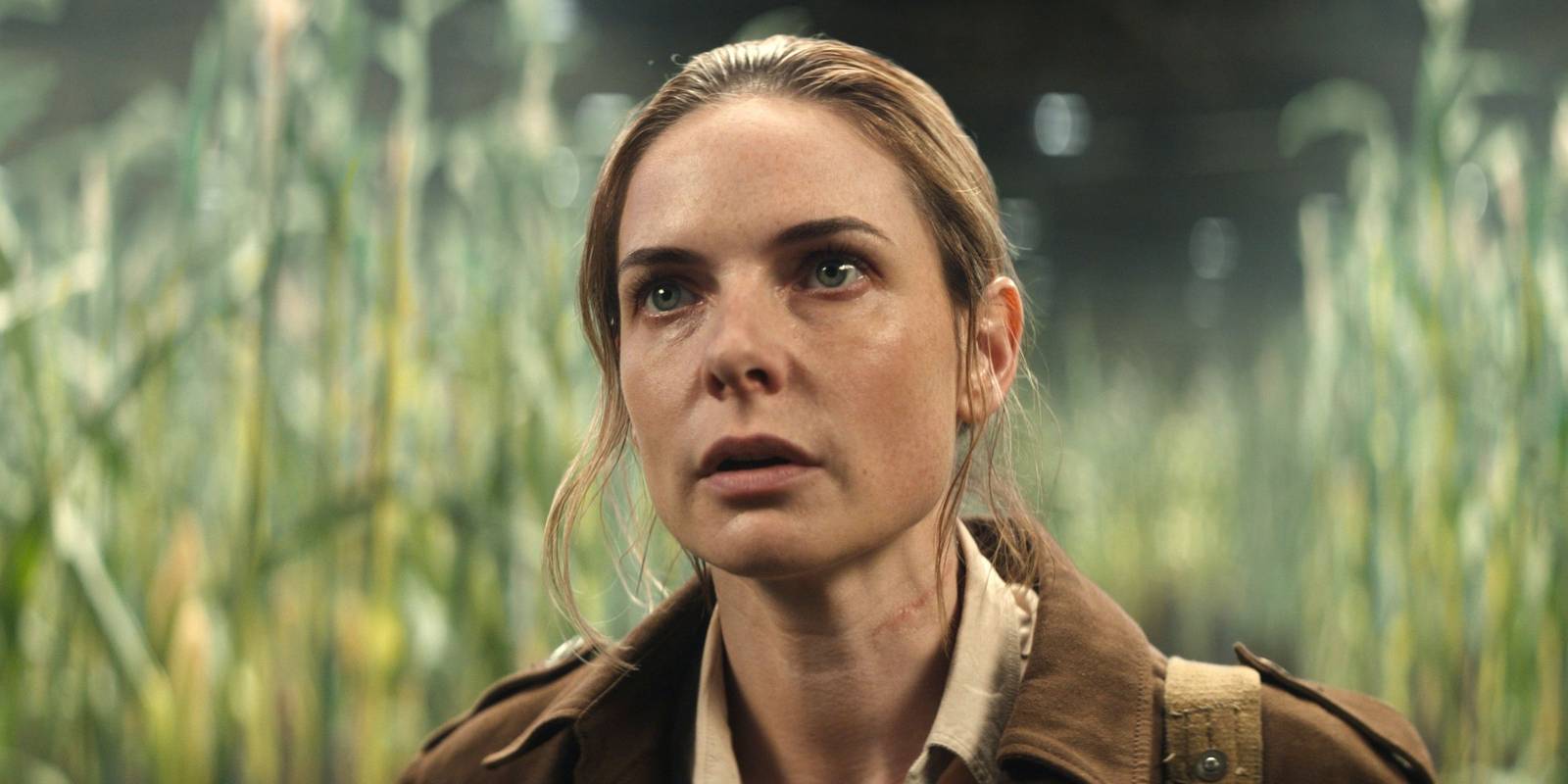 From Page to Screen: 7 Sci-Fi Shows That Prove Books Make the Best TV