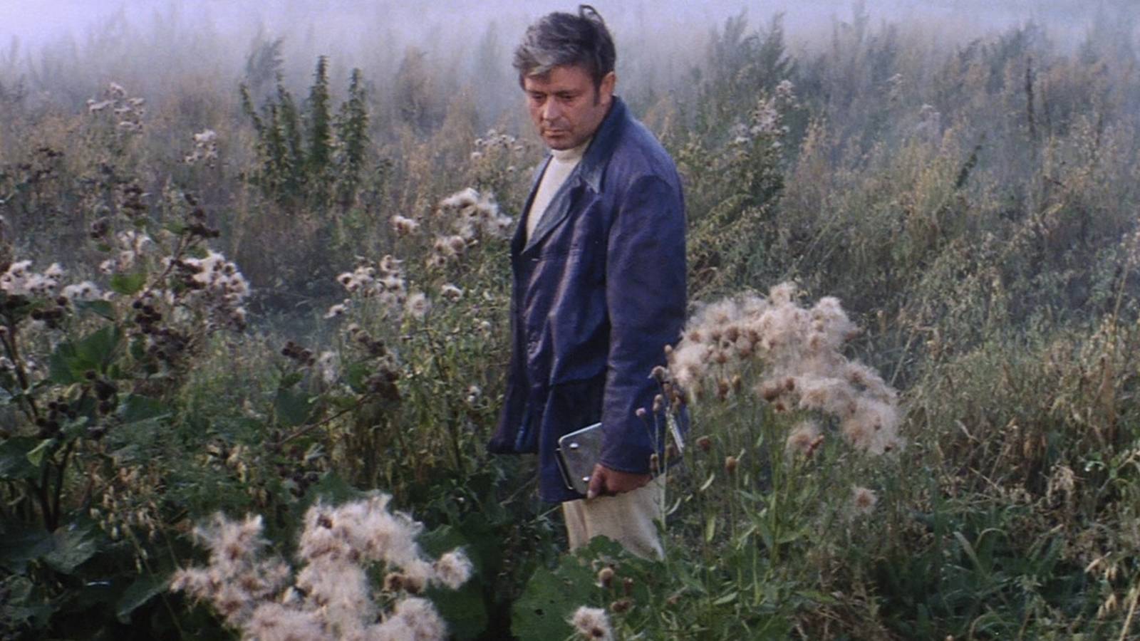 From Page to Screen: The 10 Best Sci-Fi Movies Based on Books, Ranked