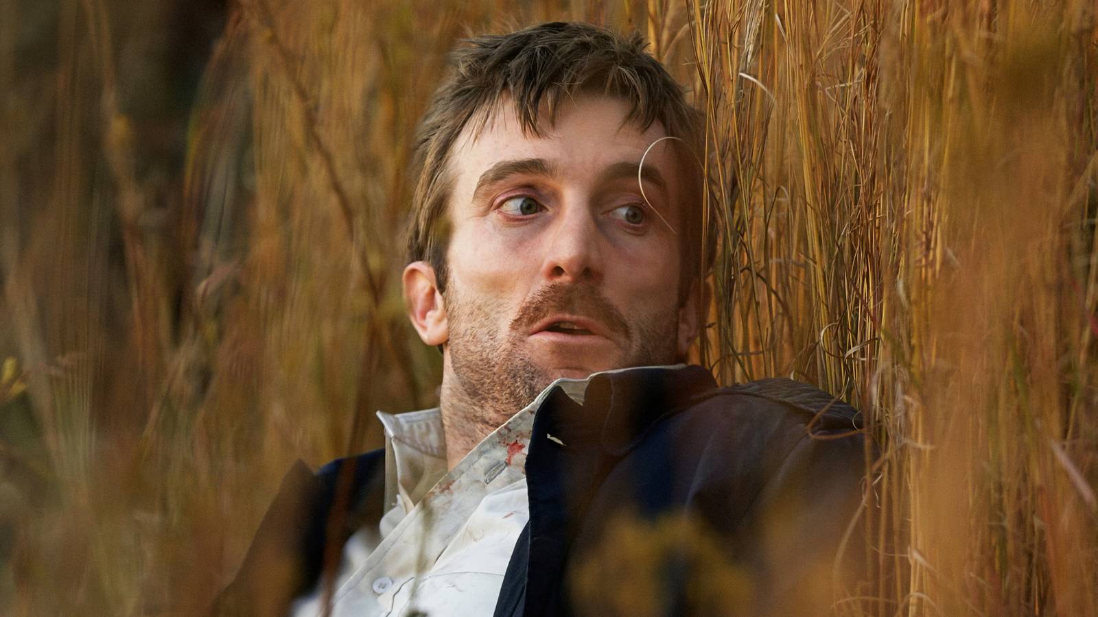 Global Sci-Fi Gems: The Best International Sci-Fi Movies Ranked