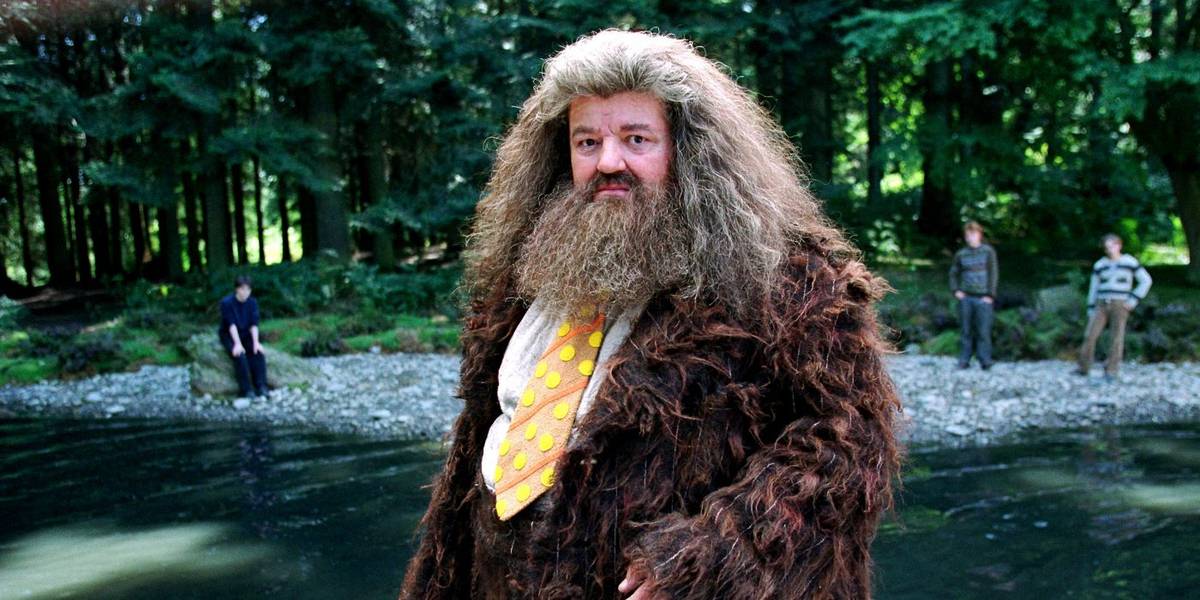 Hagrid and Dobby Get Their Own Illustrated 'Harry Potter' Pocket Potters in August 2026