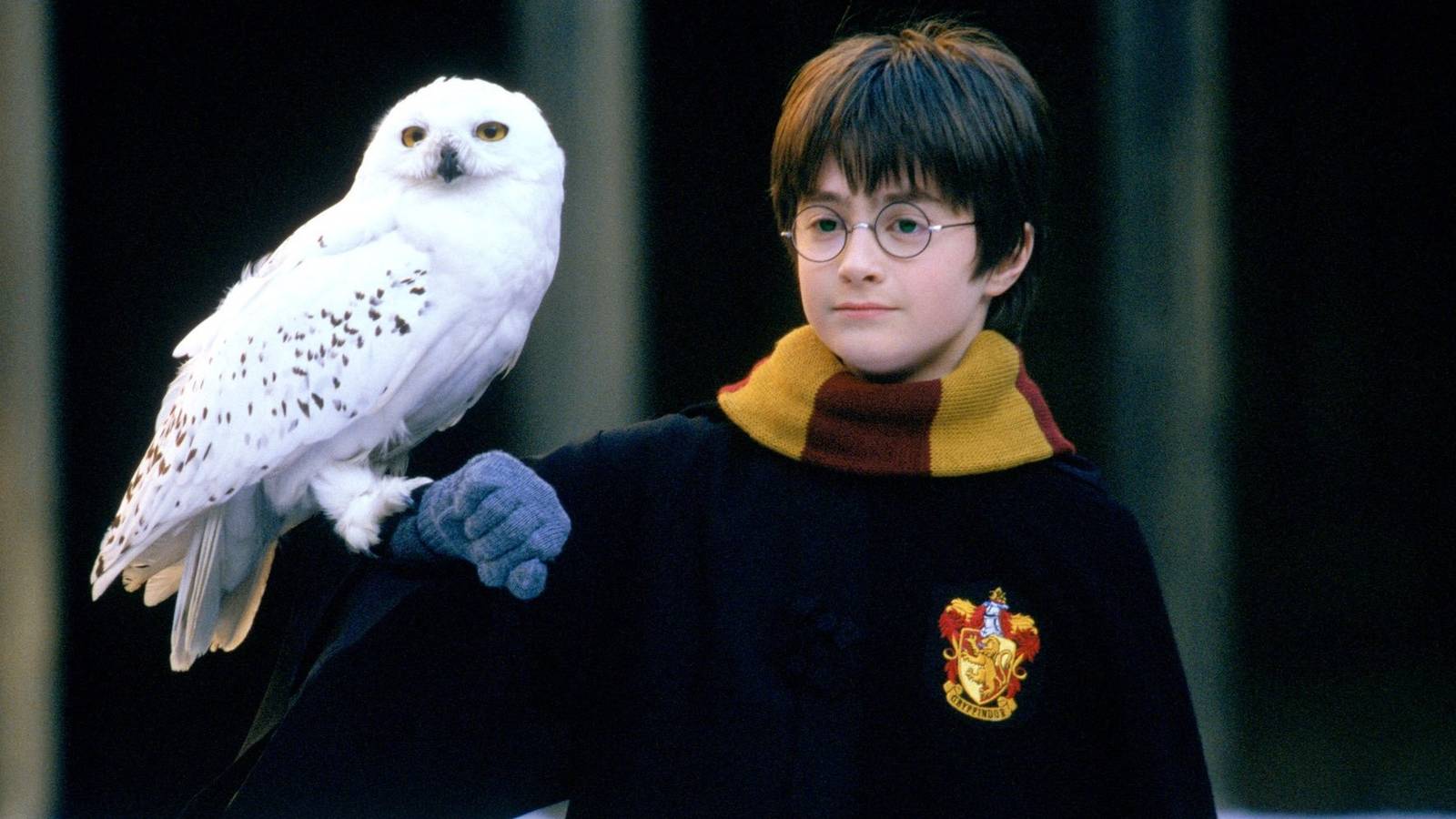 Harry Potter 25th Anniversary Popcorn Buckets: Full Collection Revealed