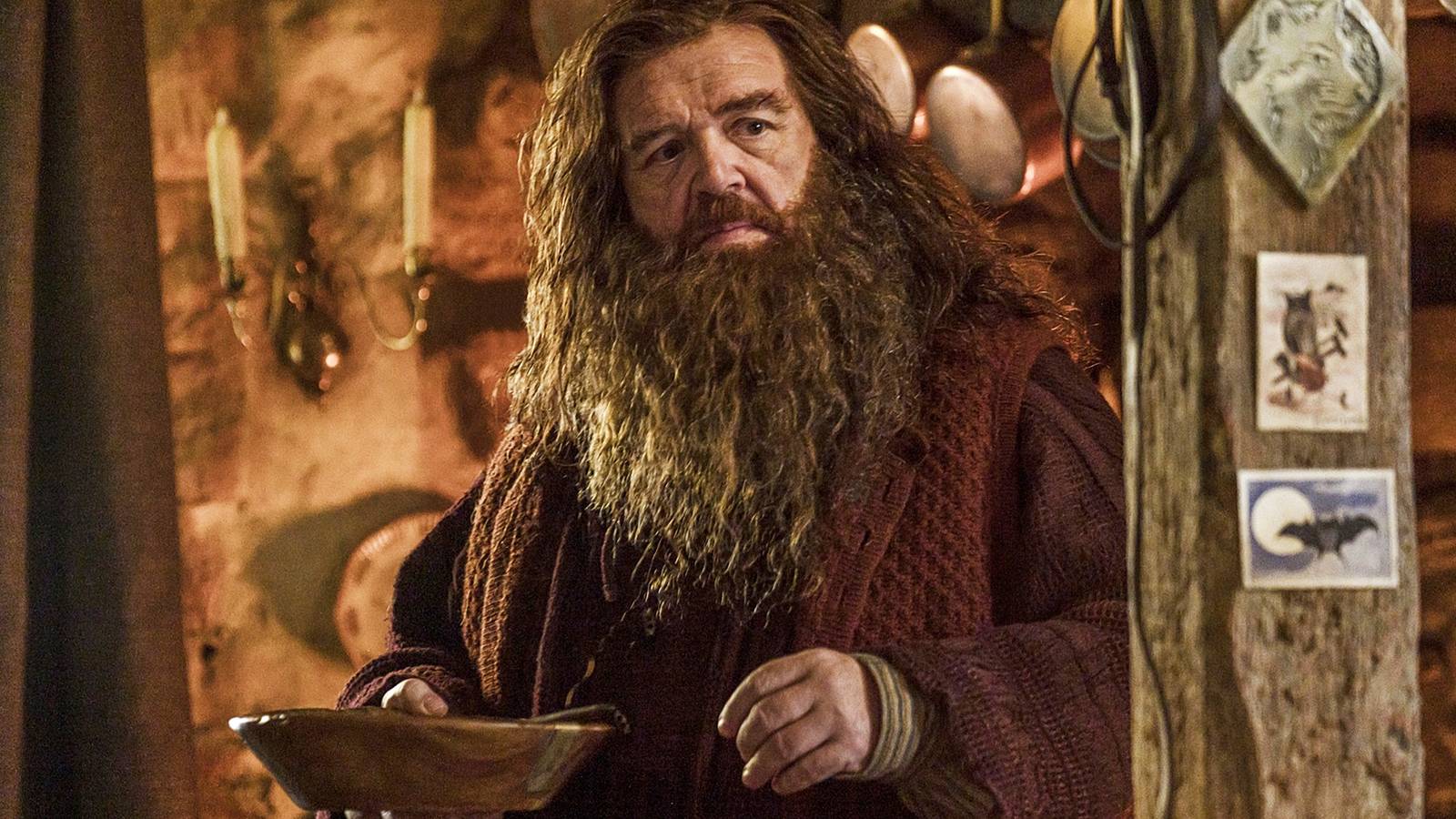 Harry Potter and Hagrid's First Team-Up Is Streaming Now