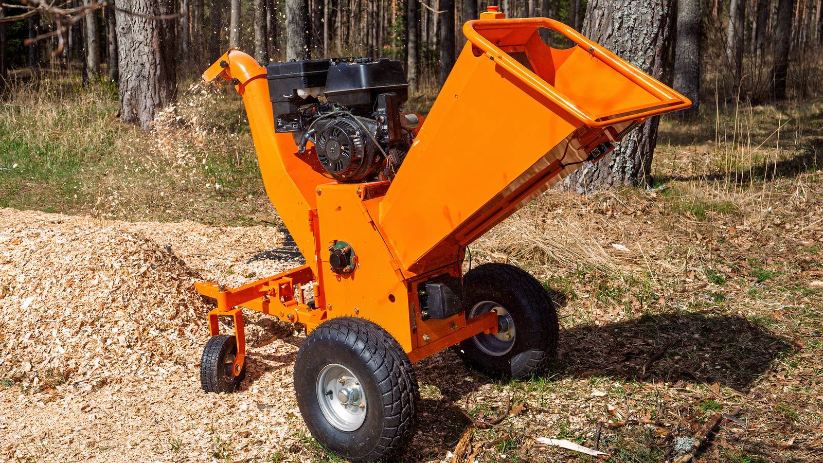 How a $400 Horror Flick 'Woodchipper Massacre' Became a Cult Classic