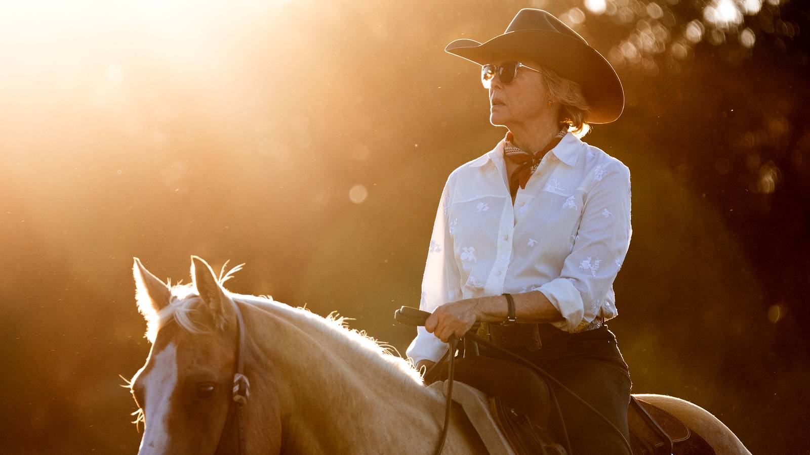 How Dutton Ranch United the Yellowstone Fandom and Revived the Franchise