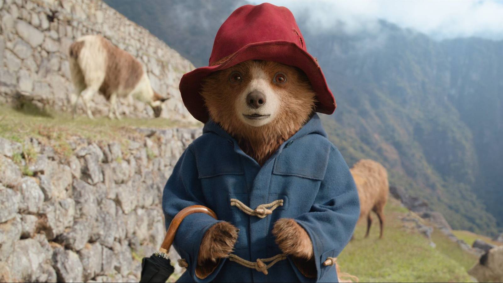 Paddington 4 Officially Announced, New Adventure in Development