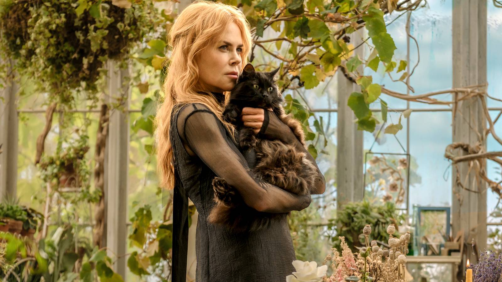 Ranking Alice Hoffman's Practical Magic Books by Goodreads Scores