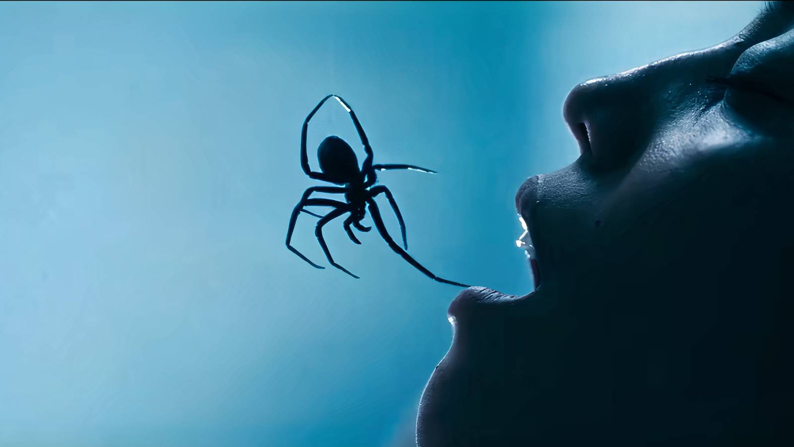 Spider Horror 'Crawlers' Loses 89% of Its Theaters After Dismal Debut