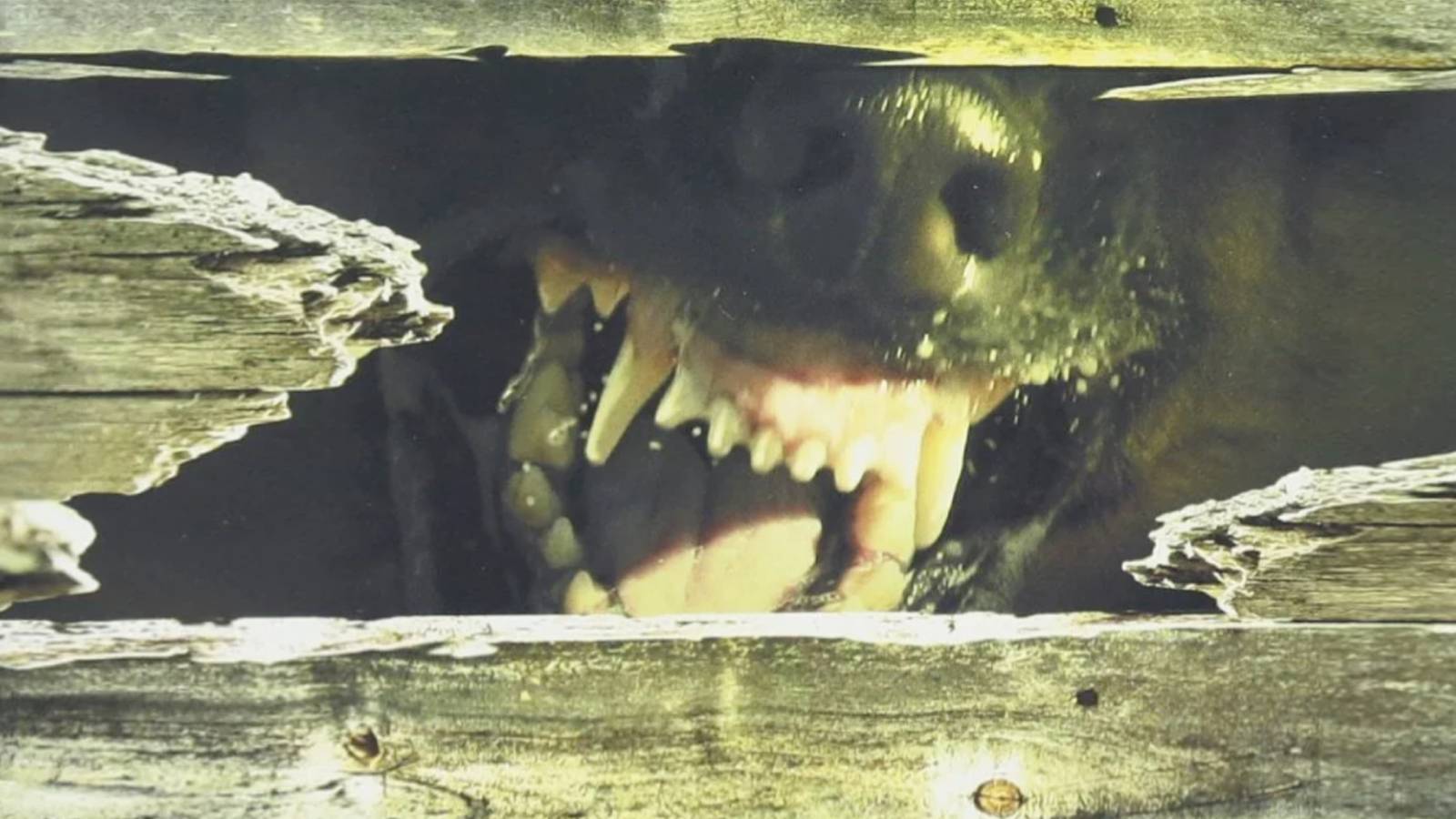 Stephen King's Best Psychological Thrillers, Ranked