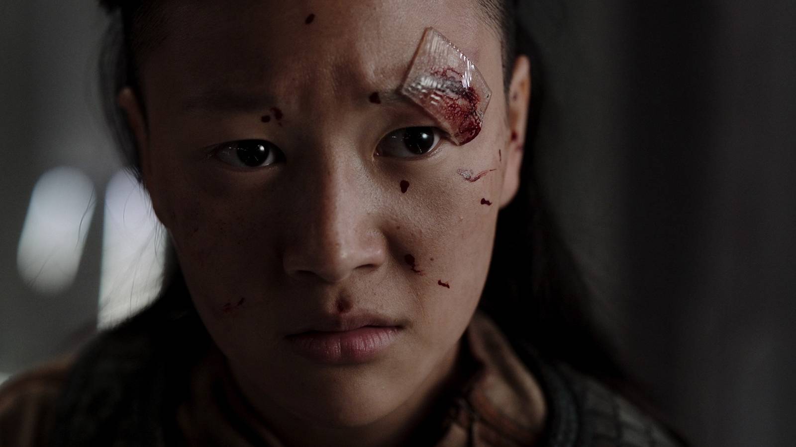 Taylor Sheridan's Western Empire Battles Spielberg's 'Halo' for Paramount+ Dominance