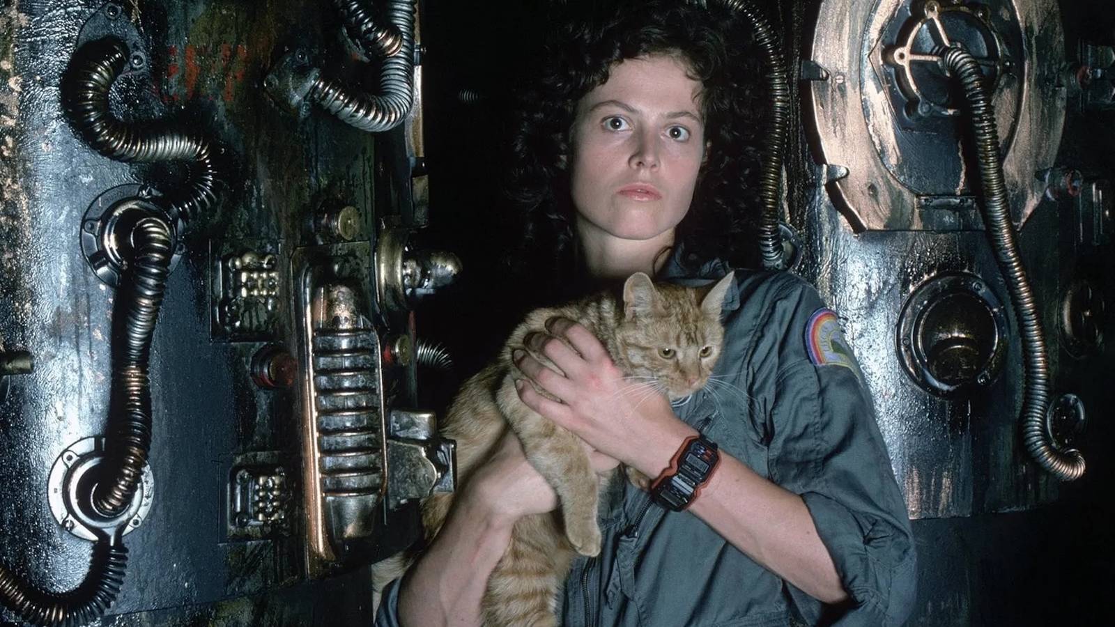 The 8 Greatest Sci-Fi Films of All Time, Ranked