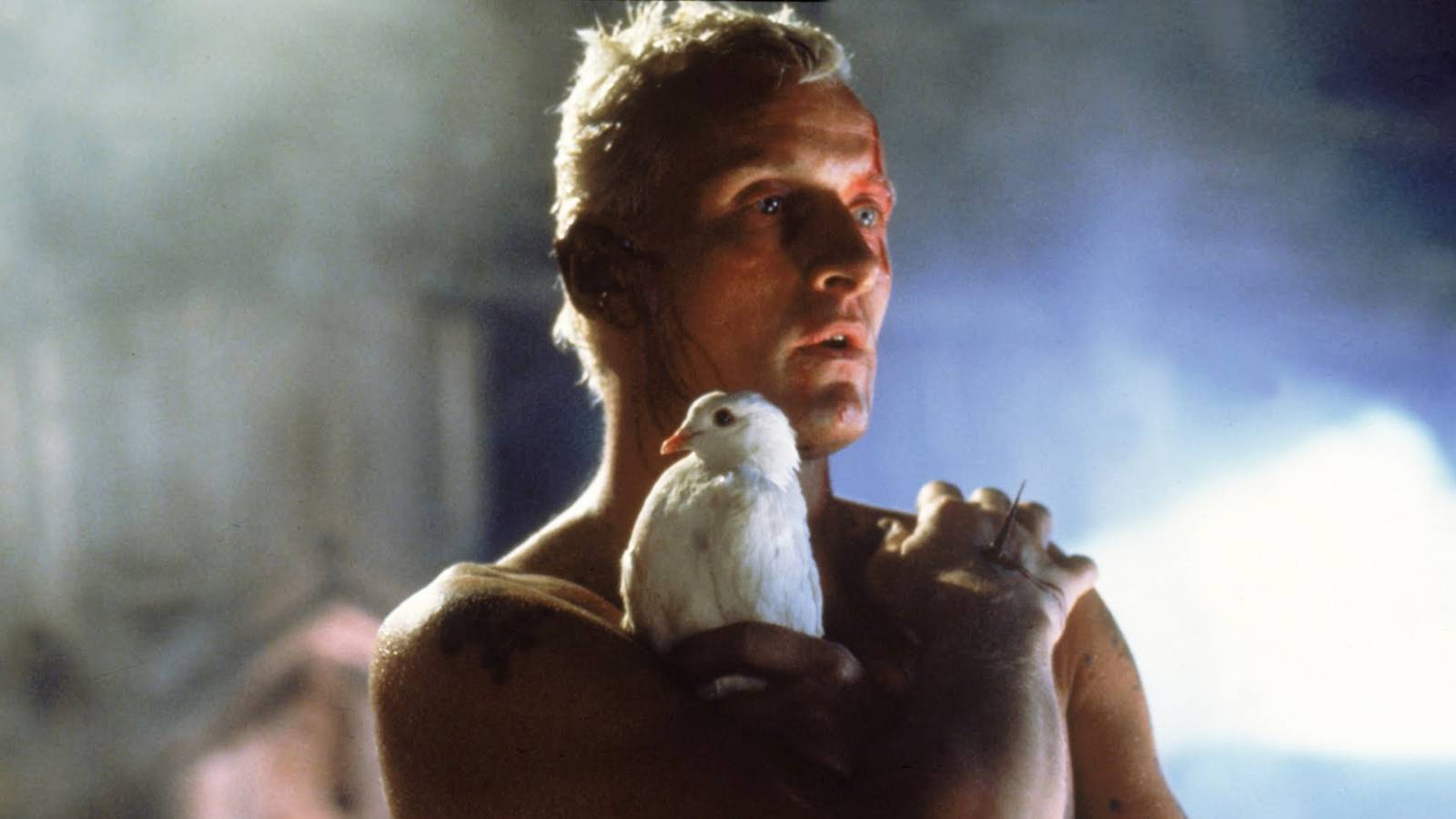 The Most Visually Stunning Films of the 20th Century, Ranked