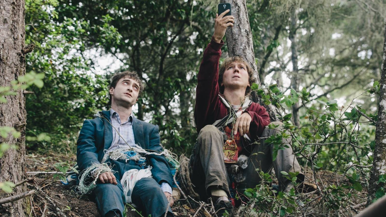 The Wildest, Most Absurd Comedies Ever Made, Ranked