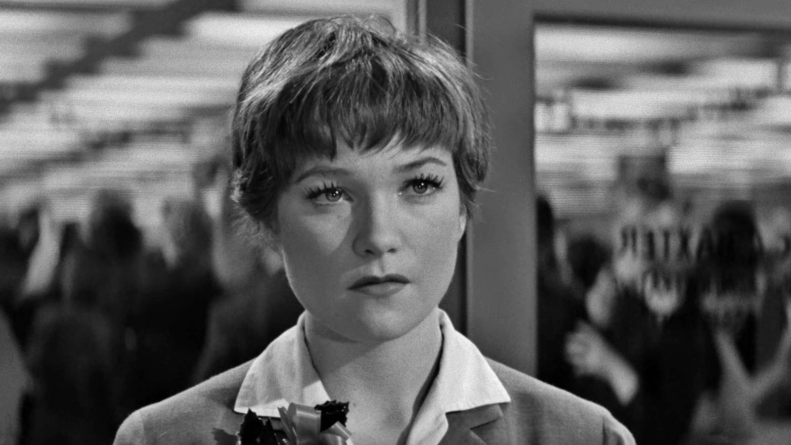 Timeless 60s Movies That Never Get Old