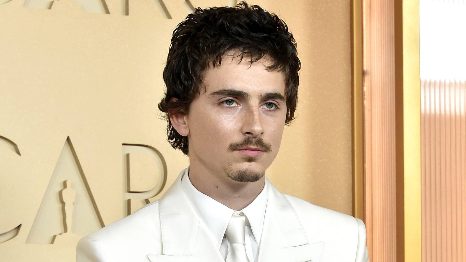 Timothée Chalamet's Divisive A24 Epic 'Marty Supreme' Breaks Box Office Records, Now Dominates HBO Max