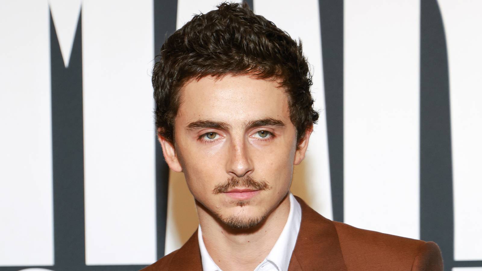 Timothée Chalamet's 'Lady Bird' Lands Free on Plex This July 2026