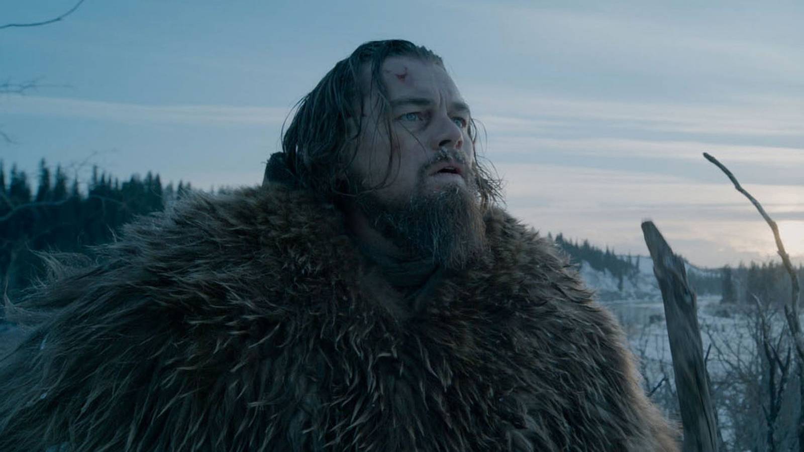 Top Survival Thriller Movies of All Time: Ranked Must-See Classics