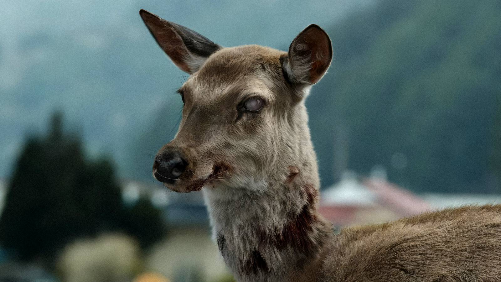Train to Busan and Its Sequel Arrive on Peacock This October