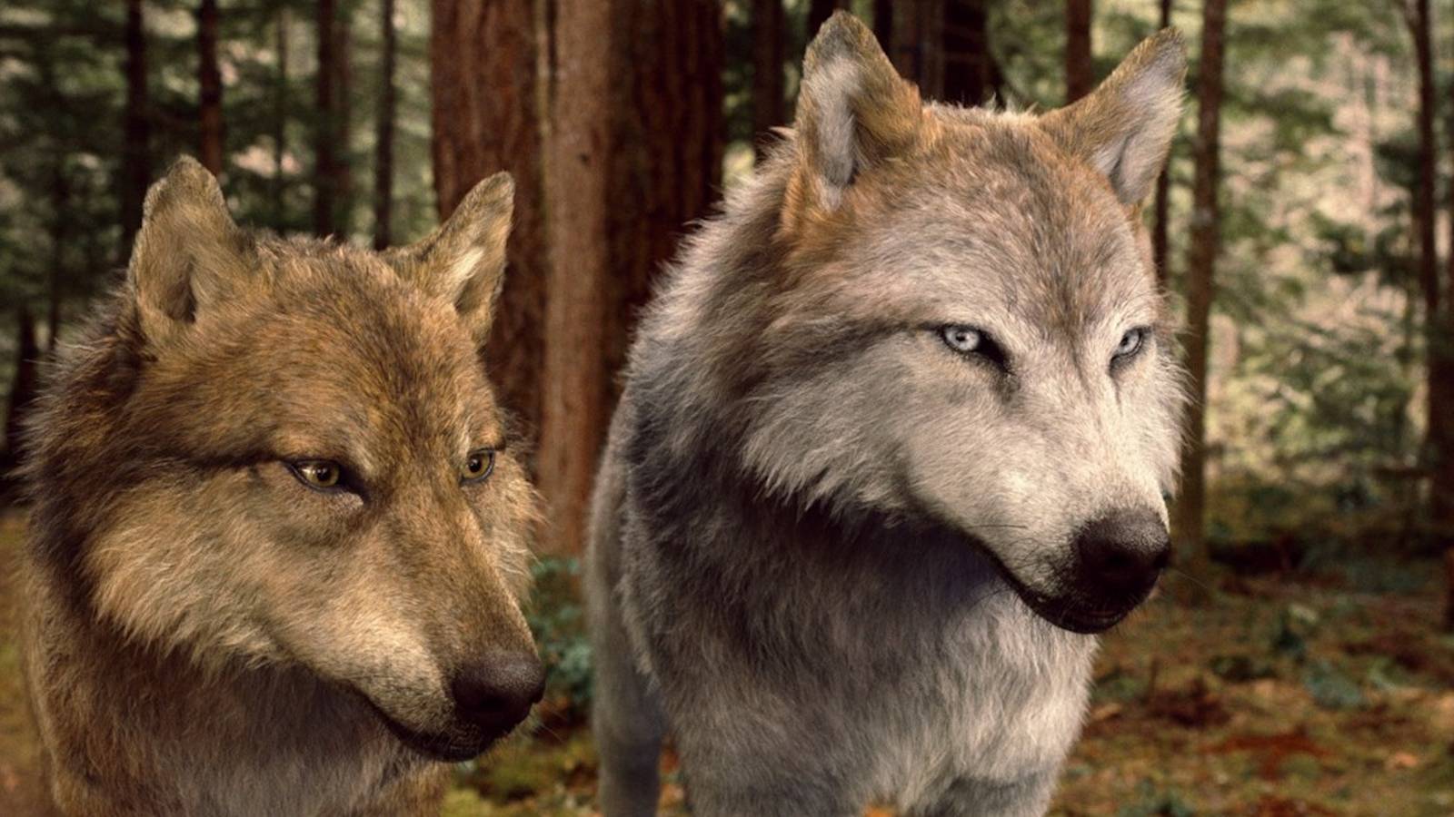 Twilight's 'Breaking Dawn — Part 2' Dominates Hulu Streaming in July 2026