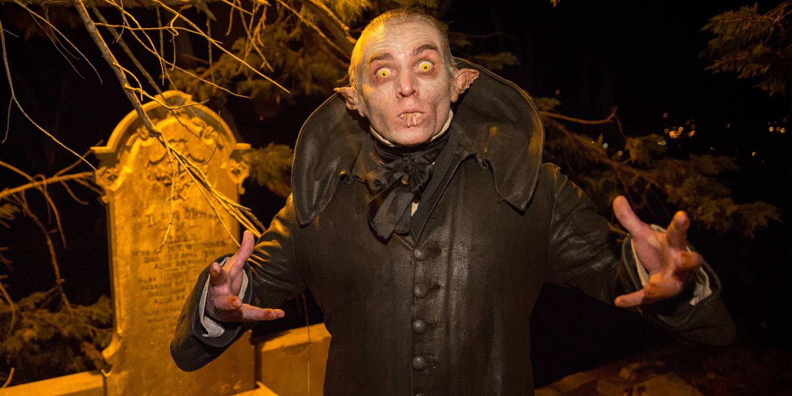 Wellington Paranormal: The 4-Part Fantasy Comedy Perfect for a Weekend Binge
