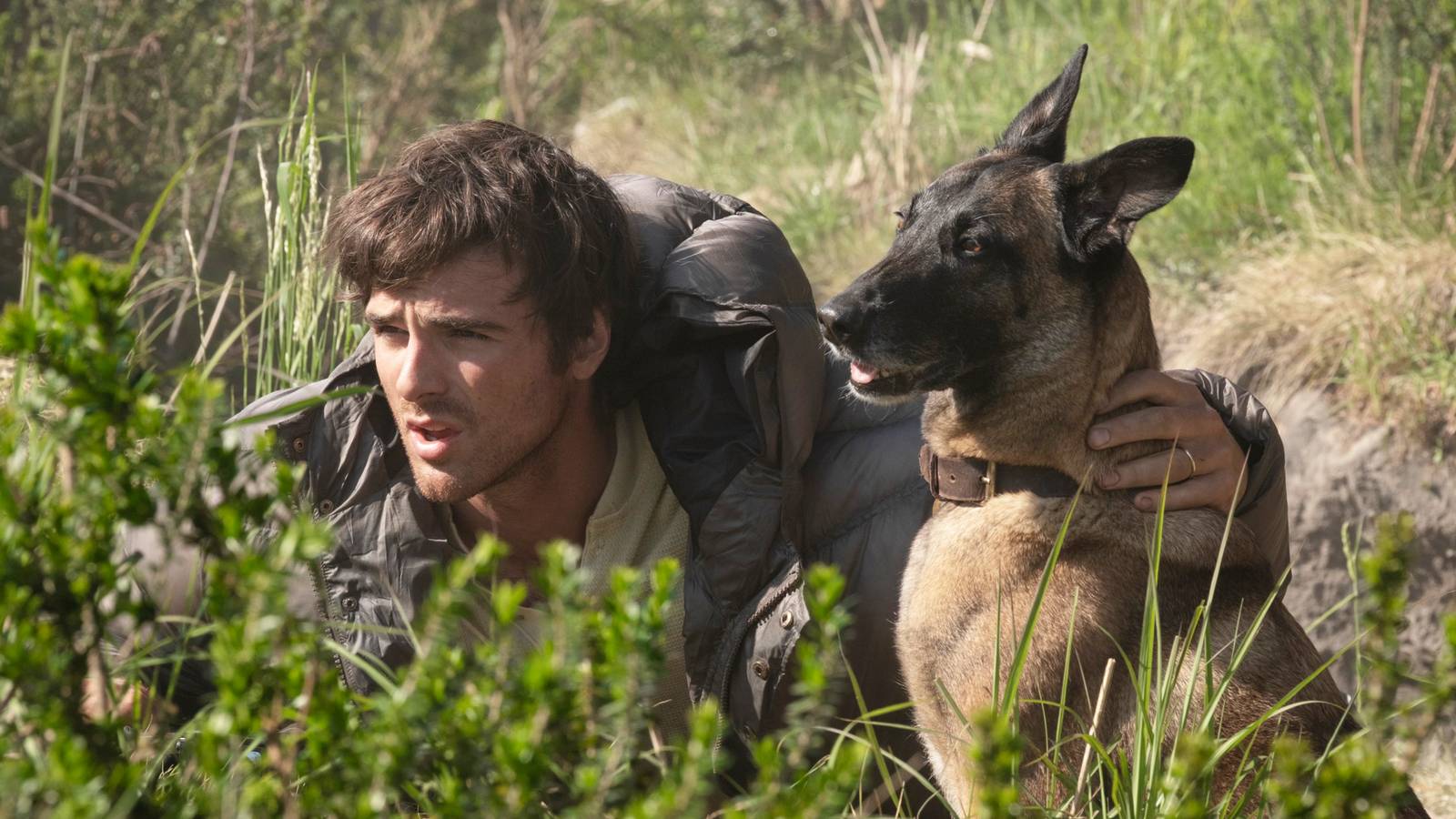 Win Free Tickets to See 'The Dog Stars' in IMAX with Ridley Scott Q&A