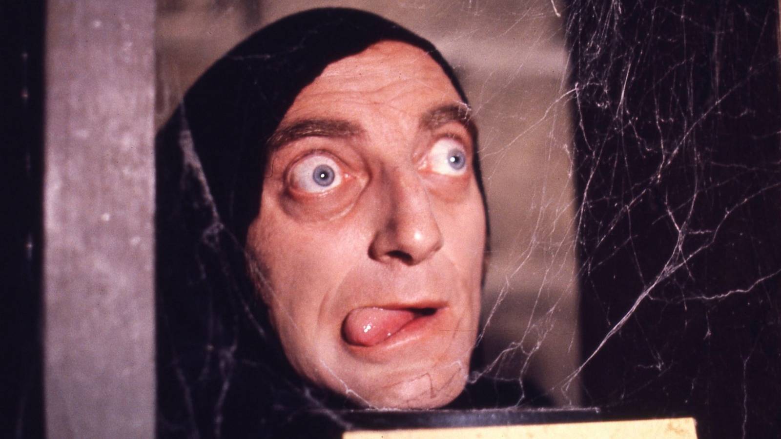 Zach Galifianakis Stars in 'Very Young Frankenstein' Series Ordered by FX and Hulu